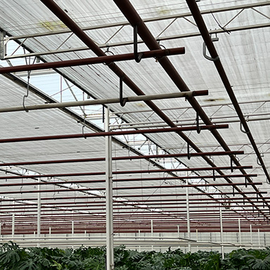 Transportleidingen2_348x348px